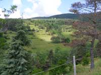 Nature et randonne