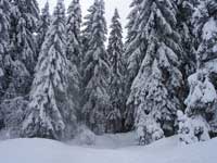 Ski de fond et raquettes